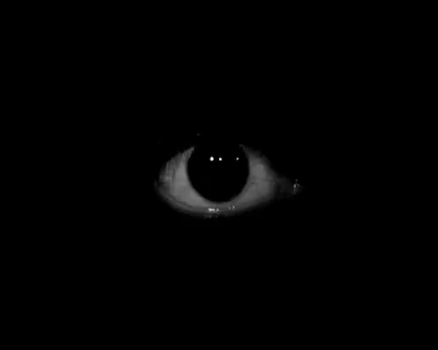 Eyes